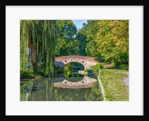 Canal in countryside by Assaf Frank